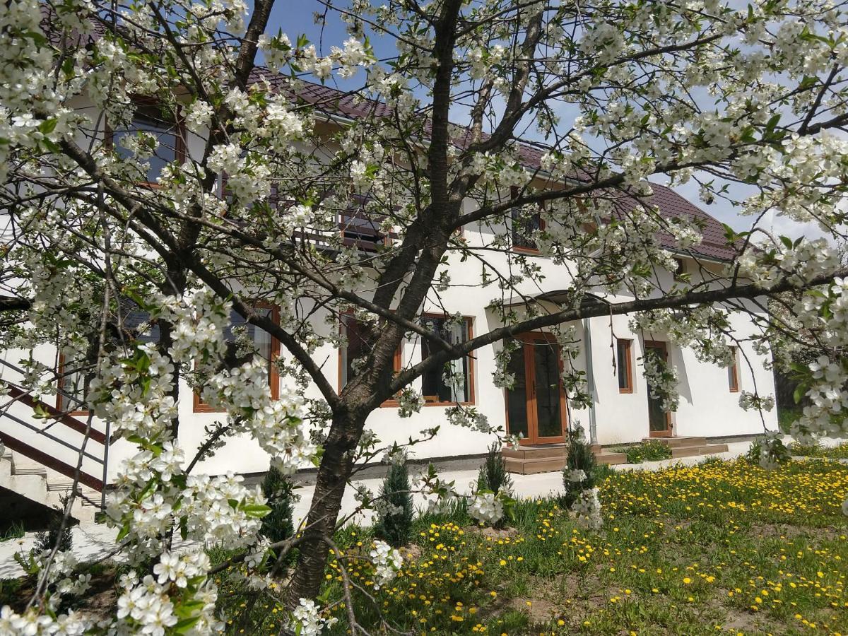 Vendel Guesthouse Lutoasa Екстериор снимка